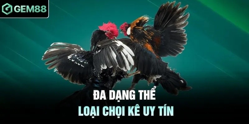 Đa dạng thể loại chọi kê uy tín