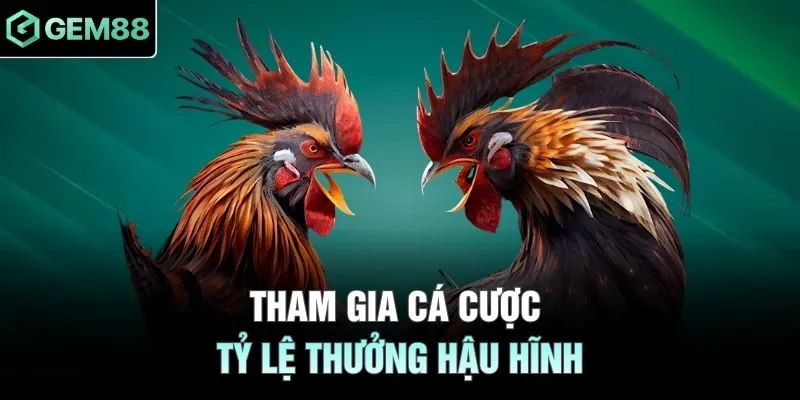 Tham gia cá cược tỷ lệ thưởng hậu hĩnh